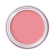 Bobbi Brown Pot Rouge Velvet Matte - Petal (8.5 g)