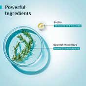 Pilgrim Spanish Rosemary & Biotin Anti-Hairfall Combo upto 95% Strong & Healthy Hair