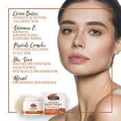 Palmer's Cocoa Butter Formula Moisture Rich Night Cream (75 g)
