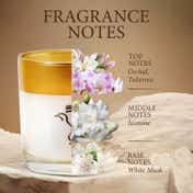 Seva Home Enchante Divine Collection Candle (3 Pcs)