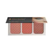 Character 3 Color Blusher - NTE002 (39 g)
