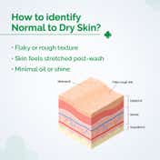 The Derma Co 5% Nia-Ceramide Daily Hydrating Moisturizer (50 g)