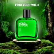 Wild Stone Forest Spice Eau De Parfum (100ml)