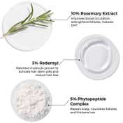 Brillare 10% Rosemary and 3% Redensyl Hair Growth Serum with 3% Phytopeptide (30 ml)