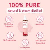 WishCare 100% Pure and Natural Kannauj Rose Water Face Toner For Glowing Skin (200 ml)
