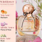Swiss Beauty Wildflower Eau De Parfum (50 ml)
