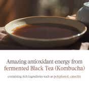 Pyunkang Yul Black Tea Time Reverse Eye Cream (25 ml)