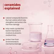 Plum Hibiscus & Ceramides Long & Healthy Shampoo (250ml)