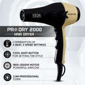 VEGA Professional Pro Dry 1800-2000W Hair Dryer with 3 Heat-2 Speed Settings Gold (VPVHD-04)