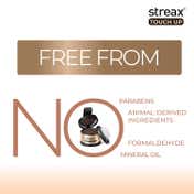 Streax Root Touch Up Powder - Brown (4 g)