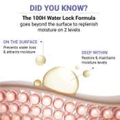 Sereko Ceramide and Peptide 100H Moisturiser Water Gel for Deep Hydration (50 ml)