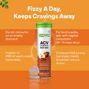 Oziva ACV Moringa Hot Mix Craving Control - Apple cinnamon (15 Effervscent Tablets)