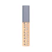 Daily Life Forever52 Academic Concealer - FAC4.15 Light Creme (10.2 ml)