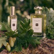 Jo Malone London English Oak & Hazelnut Cologne (30ml)