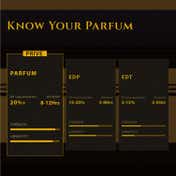 Wild Stone Prive Saffron & Oud Parfum for Men (100 ml)