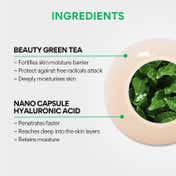Innisfree Green Tea Seed Hyaluronic Serum (80ml)