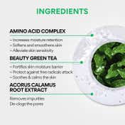 Innisfree Green Tea Cleansing Water – Removes Impurities & Makeup (320 ml)