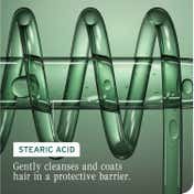 Biolage Colorlast Conditioner for Color Treated Hair with Stearic Acid (100 ml)