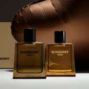 Burberry Hero Parfum Intense for Men (100 ml)
