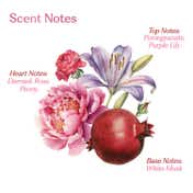 Sacred Grove Rani Baug Hair Perfume For Women (50 ml)