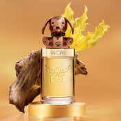 Buy MCM Darling Doxie Unisex Eau de Parfum (100 ml) Online at Best