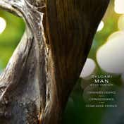 Bvlgari Man Wood Essence Eau de Parfum (100ml)