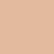 PAC Dewy Glow Liquid Filter Foundation - LF Light-120 (28 ml)