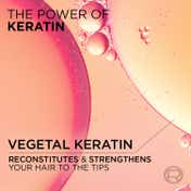 L'Oreal Paris Dream Lengths Detangling Conditioner with Vegetal Keratin and Castor Oil (175 ml)