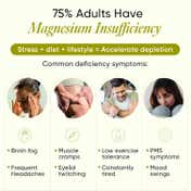 Wellbeing Nutrition Slow Ultra Strength Magnesium+ (60 Capsules)
