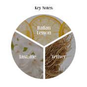 Secret Alchemist Signature Line Fresh Vetiver Perfume for Men (100 ml)