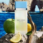 Dolce&Gabbana Light Blue Eau de Toilette (100 ml)