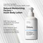 The Ordinary Natural Moisturizing Factors + Inulin Body Lotion (240 ml)