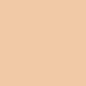 PAC Dewy Glow Liquid Filter Foundation - LF Light-100 (28 ml)