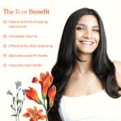 Sacred Grove Hair Cleanser with Reetha Herbal Shampoo (250 ml)