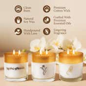 Seva Home Enchante Divine Collection Candle (3 Pcs)