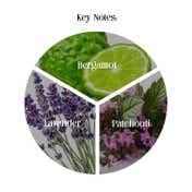 Secret Alchemist Midnight Patchouli Parfum Unisex Perfume (100 ml)