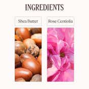 L'Occitane Rose Perfumed Body Lotion (250 ml)