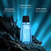 Wild Stone Leader Eau De Parfum for Men (90 ml)