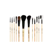 Allure Classic Brush Set : ACK-12 (12pcs)