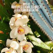 Sol de Janeiro Refresco Paraíso Perfume Mist (90 ml)