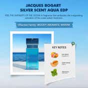 Jacques Bogart Silver Scent Aqua Eau de Parfum (100 ml)