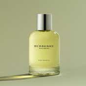Burberry Weekend For Women Eau De Parfum (100ml)