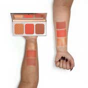 Character 3 Color Blusher - NTE005 (39 g)