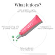 CLAYCO. Acne Paste with 10% Sulfur & Salicylic Acid (15 g)
