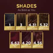 Bblunt Salon Secret High Shine Conditioning Hair Colour - Mahogany Reddish Brown 4.56 (130 g)