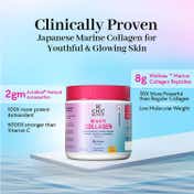 Chicnutrix Marine Collagen Supplements Powder for Women & Men 8000 mg (237.5 g)