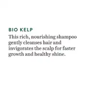Biotique Bio Ocean Kelp Anti Hair Fall Shampoo (190ml)