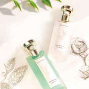 Bvlgari Eau Parfume The Vert Eau de Toilette (75 ml)