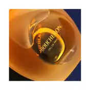 Boucheron Pour Femme Eau De Parfum (100ml)