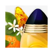 Boucheron Pour Femme Eau De Parfum (100ml)